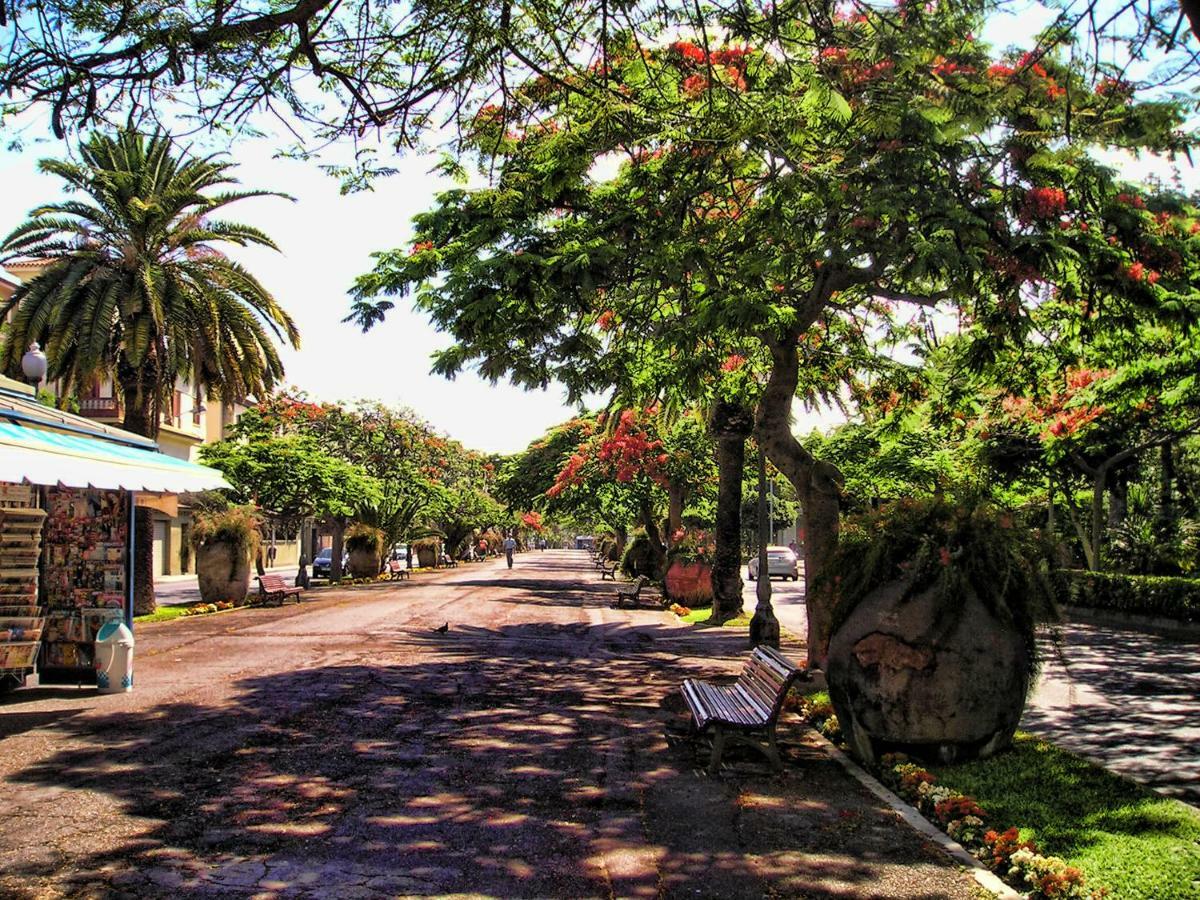 Flores & Campos Guest House Santa Cruz de Tenerife Esterno foto